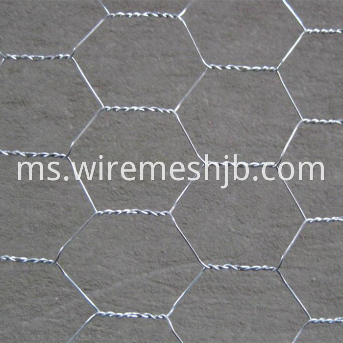 Hexagonal Mesh Fencing